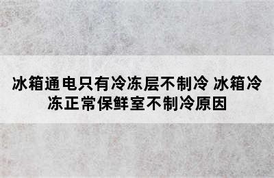 冰箱通电只有冷冻层不制冷 冰箱冷冻正常保鲜室不制冷原因